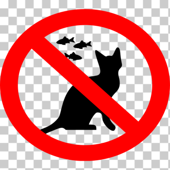 SVG No Feeding The Cats SVG No Feeding The Cats