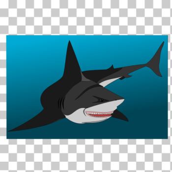 SVG Non Friendly shark SVG Non Friendly shark