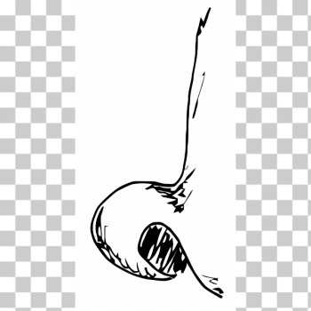 SVG Nose