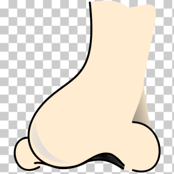 SVG Nose