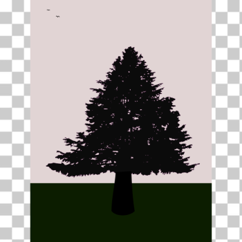 SVG Old fir at dusk SVG Old fir at dusk
