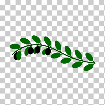 SVG Olive branch image SVG Olive branch image