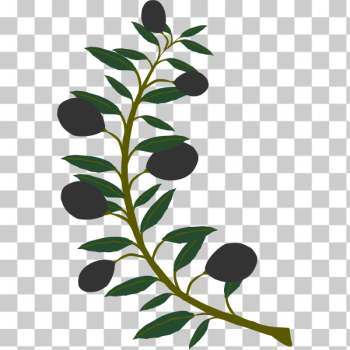 SVG Olive branch with black olives SVG Olive branch with black olives