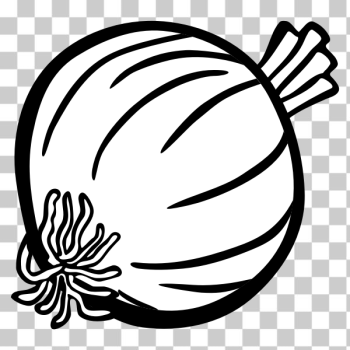 SVG onion - lineart SVG onion - lineart