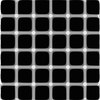 SVG optical illusions quiz award SVG optical illusions quiz award