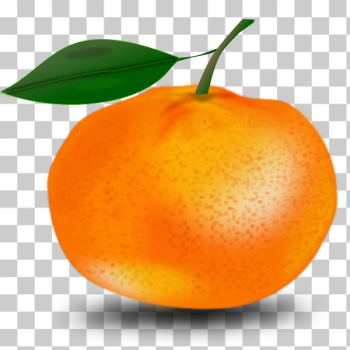SVG Orange and leaf SVG Orange and leaf