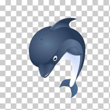 SVG Orca SVG Orca