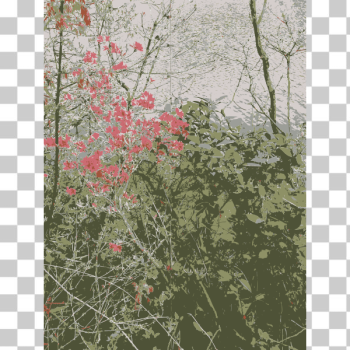 SVG Original Aiflowers 37 SVG Original Aiflowers 37