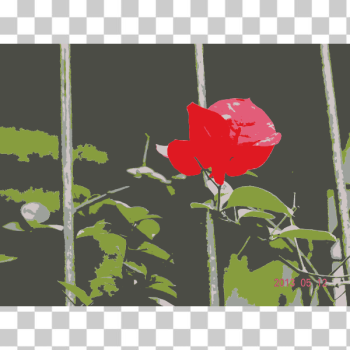 SVG Original Aiflowers 384 SVG Original Aiflowers 384