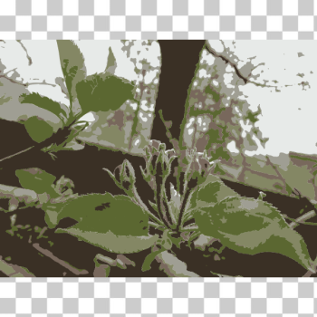 SVG Original Aiflowers 80 SVG Original Aiflowers 80