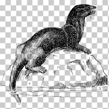 SVG Otter SVG Otter