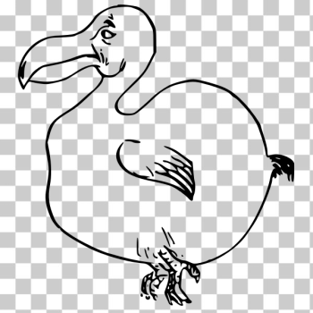 SVG Outline vector illustration of dodo bird SVG Outline vector illustration of dodo bird