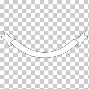 SVG Outlined banner SVG Outlined banner