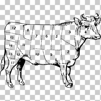 SVG Ox meat parts vector diagram SVG Ox meat parts vector diagram