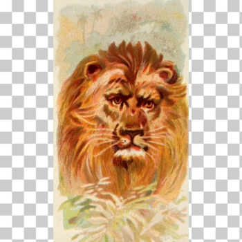 SVG Painted lion SVG Painted lion