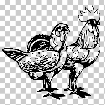 SVG Pair of chickens SVG Pair of chickens