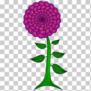 SVG Paisley flower SVG Paisley flower