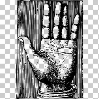 SVG Palm of the hand SVG Palm of the hand
