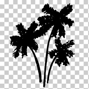 SVG Palms silhouette SVG Palms silhouette