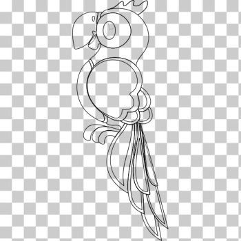 SVG Parrot for coloring book SVG Parrot for coloring book