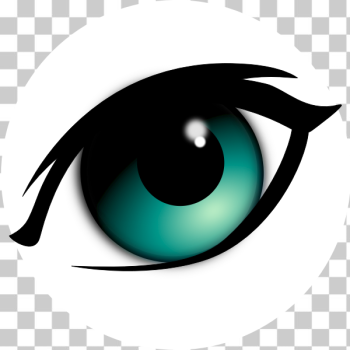 SVG Part shaded human eye vector image SVG Part shaded human eye vector image