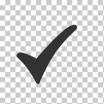 SVG Patch icon