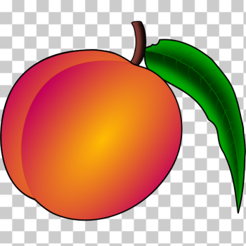 SVG Peach SVG Peach