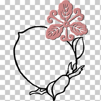 SVG Peach flower frame SVG Peach flower frame