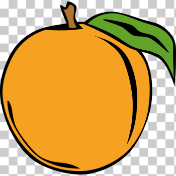SVG Peach fruit vector clip art SVG Peach fruit vector clip art
