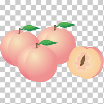 SVG Peaches SVG Peaches