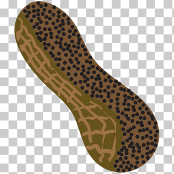 SVG Peanut symbol