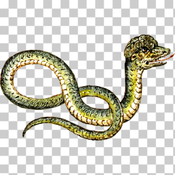 SVG Peculiar snake SVG Peculiar snake