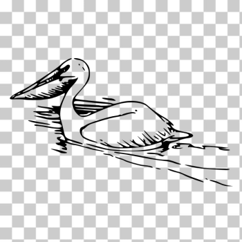 SVG Pelican vector image SVG Pelican vector image