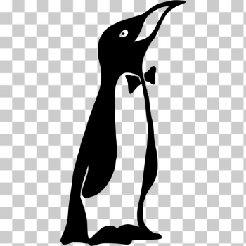 SVG Penguin in a tuxedo SVG Penguin in a tuxedo