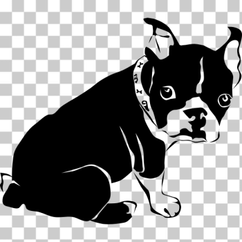 SVG Pet dog SVG Pet dog