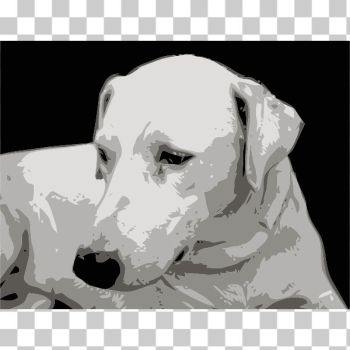 SVG Photorealistic vector clip art of dogface SVG Photorealistic vector clip art of dogface