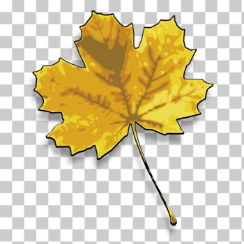 SVG Photorealistic yellow maple leaf vector image SVG Photorealistic yellow maple leaf vector image