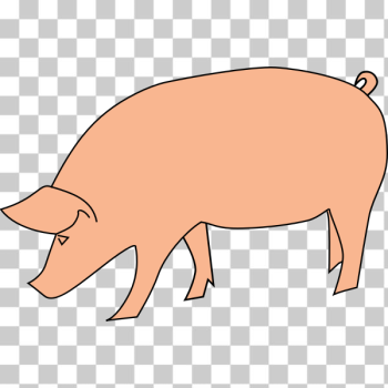 SVG Pig foraging vector clip art SVG Pig foraging vector clip art