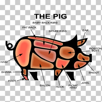 SVG Pig039s parts SVG Pig039s parts