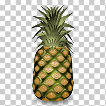 SVG Pineapple fruit SVG Pineapple fruit