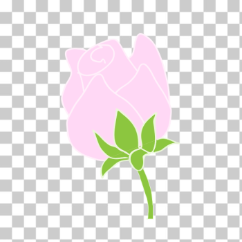 SVG Pink rose line art SVG Pink rose line art
