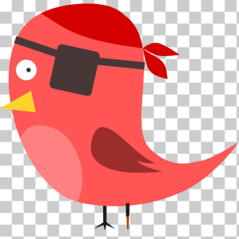 SVG Pirate bird SVG Pirate bird
