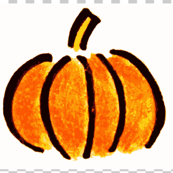 SVG Plain black and orange pumpkin vector image