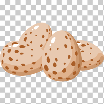 SVG Plain eggs SVG Plain eggs