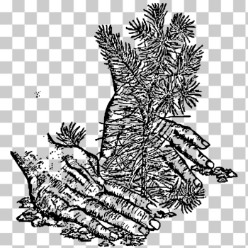 SVG Plant a tree SVG Plant a tree