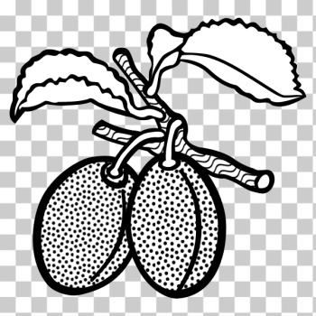 SVG plum - lineart SVG plum - lineart