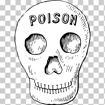 SVG poison skull