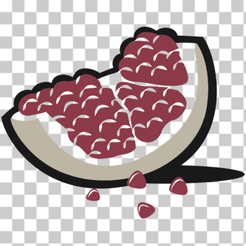 SVG Pomegranate SVG Pomegranate