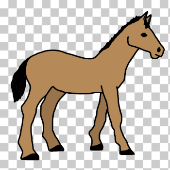 SVG Pony illustration