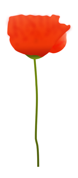 SVG Poppy Flower SVG Poppy Flower